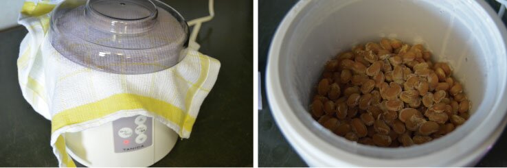 fermenting the soy bean mixture